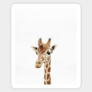 Baby Giraffe, Nursery, Animal, Kids room, Modern art, Wall decor Sticker